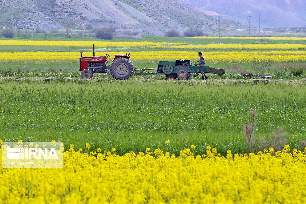 پانار | پارس ساختار | راهی جز اجرای الگوی کشت برای استمرار کشاورزی در ایران نداریم